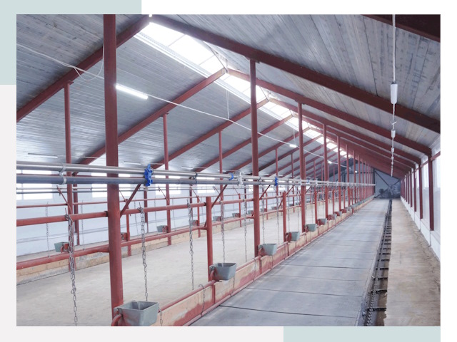 Строительство коровников в Старой Руссе от 611 руб.