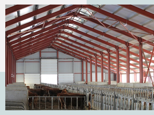 Строительство коровников в Старой Руссе