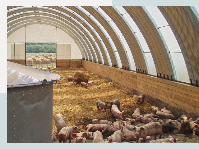 Строительство свинарников в Старой Руссе