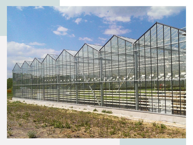 Строительство теплиц в Старая Русса от 611 руб. за м²